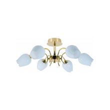 ARTE LAMP  Люстра потолочная Tulip A8292PL-6PB
