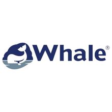 Whale Тройник белый Whale Equal Tee WX1502B 15 мм