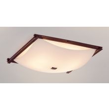 Светильник Потолочный Citilux CL932111