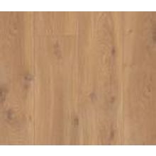 Европейский Дуб