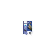Epson Epson C13T15724010