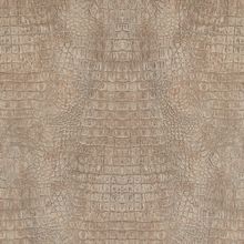 Обои BN 17951 Curious