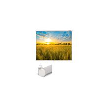 Экран настенный рулонный LUMIEN Eco Picture MW 200х200 см