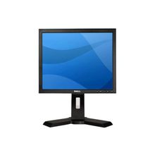 Dell (Display : 17in P170Sb European Black Professional (1280 x 1024) TCO03 DVI-D - Kit)