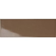 Tonalite Silk Visone 10x30 см