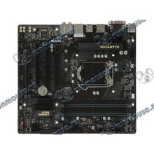 Мат. плата Socket1151 GIGABYTE "GA-B250M-D3H" (iB250, 4xDDR4, M.2, SATA III, 2xPCI-E, D-Sub, DVI, HDMI, DP, 1Гбит LAN, USB3.1, mATX) (ret) [137364]