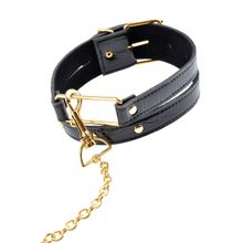 Pipedream Ошейник с поводком Collar   Leash (черный с золотистым)