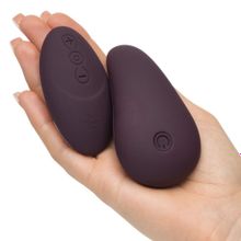 Клиторальный стимулятор My Body Blooms Rechargeable Knicker Vibrator with Remote Фиолетовый