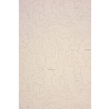 Обои виниловые Casadeco Marina 25100130