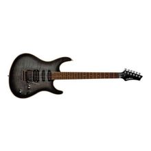 Washburn RX25
