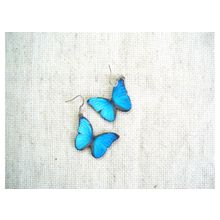 Серьги ультраголубые бабочки