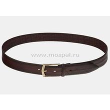 Alexander TS Кожаный ремень AT40-100 коричневый