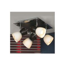 LUSSOLE  Спот  LSL-8201-04 Lussole