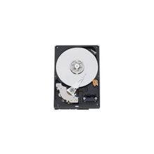 Жесткий диск 500Gb Western Digital Caviar Blue, 7200rpm, 16Mb, WD5000AAKX