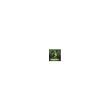 9.Считаем и играем (PC)