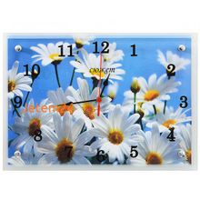 Сюжет В852 25*35