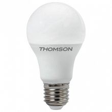 Thomson Лампа светодиодная Thomson A95 E27 30Вт 3000K TH-B2354 ID - 468374