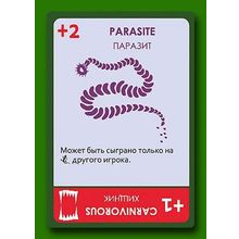 Настольная игра ПРАВИЛЬНЫЕ ИГРЫ 13-01-01 Эволюция