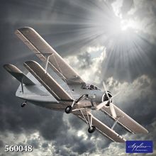 Фреска Applico 560048