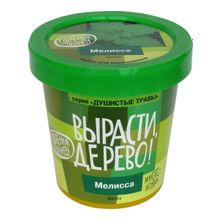 Набор для выращивания ВЫРАСТИ ДЕРЕВО! Мелисса