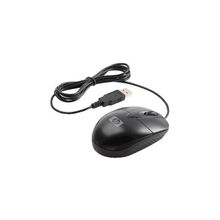 HP (USB Optical Travel Mouse)