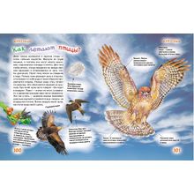 Росмэн для любознательных