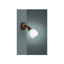 MASSIVE  Спот Massive 52140 43 10