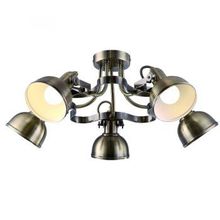 Потолочная люстра Arte Lamp Martin A5216PL-5AB