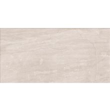 Alaplana San Marino Gris Mate 50x100 см