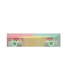 RIDEX Круизер Malibu, 22x6, Abec-9 Nylon