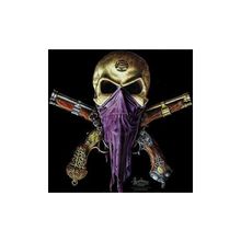 Термоаппликация Череп пистолеты