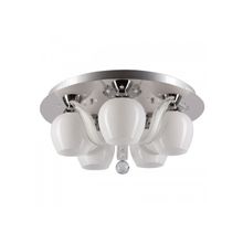 Люстра MW-Light 459010305 Ивонна