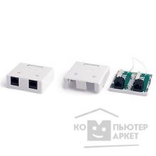 Hyperline SB2-2-8P8C-C5e-SH-WH Розетка компьютерная RJ-45 8P8C , категория 5e, экранированная, двойная, внешняя, Dual IDC 110&Krone type