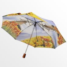 Ame Yoke Зонт женский Голландия