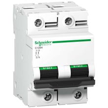 Выключатель автоматический двухполюсный C120H 100А C 15кА | код. A9N18458 | Schneider Electric