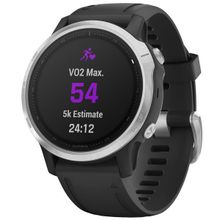 Часы Garmin Fenix 6S (Серебристый Черный)