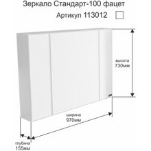 СанТа Зеркальный шкаф Стандарт 100 трельяж фацет