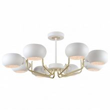 Rivoli Люстра на штанге Rivoli Ottavi Б0044502 ID - 464765