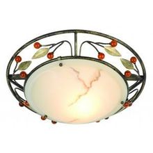 Накладной светильник Savanna 44130-1