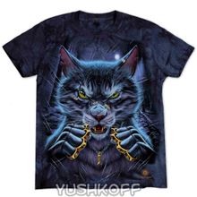 CASSOWARY Australia Fighting Cat