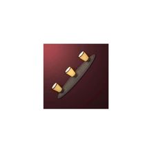 Lussole LSL-2301-03 PERSPICUO спот (поворотный светильник)