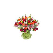 Букет Радужный 55 разноцветных тюльпанов