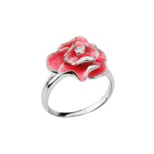 Кольцо Bonanza, IFR1004