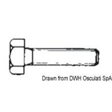 Osculati Threaded hexagon setscrew 4x12 AISI 316 316.933 4X12, A4-933-04X012