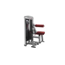 Mega power разгибание спины с мини-компьютером, 210ф Aerofit MBK-1600
