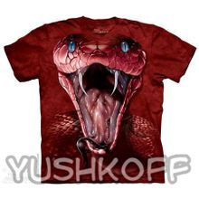 Mountain Red Mamba Face