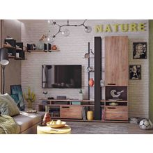 ПМ: Глазов Nature 333 (гостиная) Тумба ТВ малая   Тумба ТВ малая Nature 333