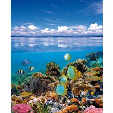 Venus Joy Ocean Composition Set 4 Pieces 101.2x70.6 см