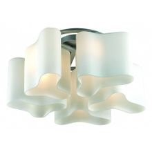 Светильник потолочный ST Luce SL118.502.05