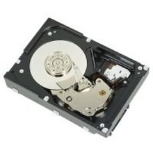 DELL Dell 600 GB SAS (400-AEEUUc)